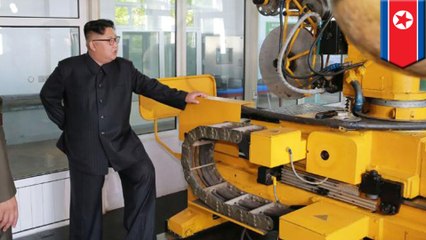 North Korea photos suggest new solid-fuel missile designs