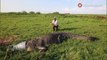 Cocodrilo gigante: cocodrilo de 4 metros intenta morder el Australiano Matt Wright - TomoNews