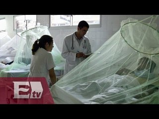 Virus Zika ataca en 18 países de América / Ingrid Barrera