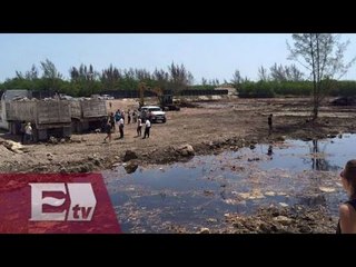 Fonatur permitió datos falsos para obras en Manglar Tajamar  / Ingrid Barrera