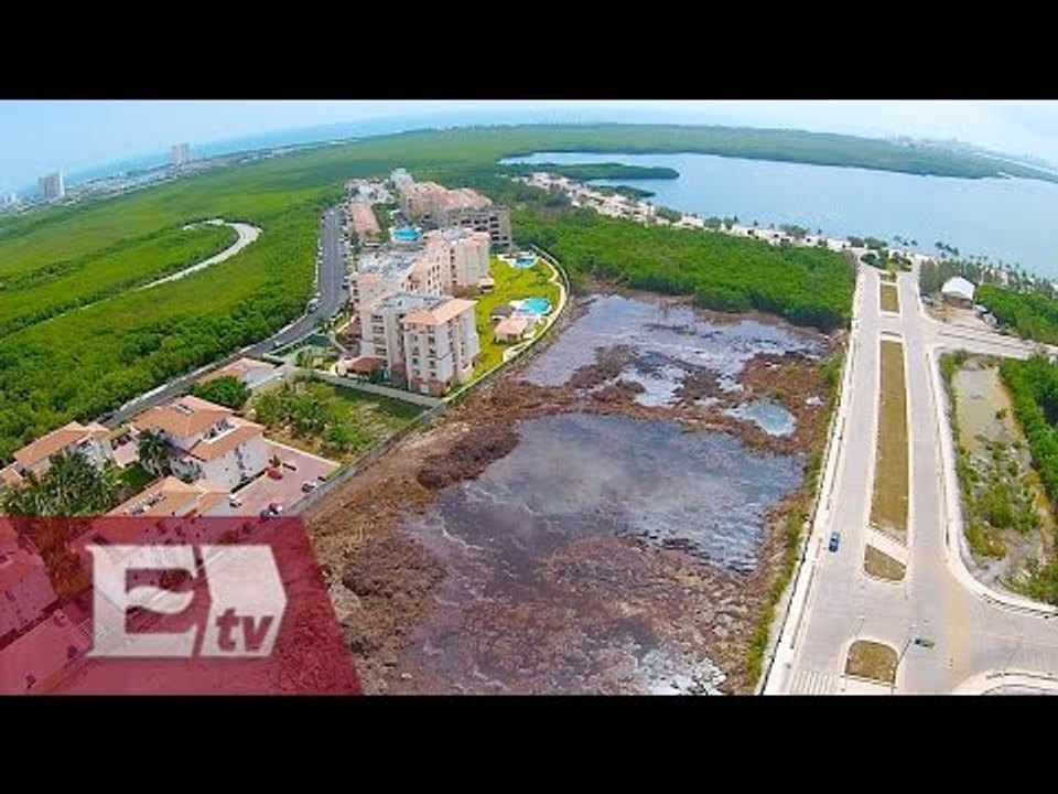 Impacto ambiental de la destrucción del Malecón Tajamar / Opiniones encontradas