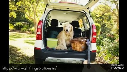 HOW TO MOVE WITH PETS WHEN MOVING HOME