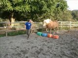 montage balade en cordelette   éthologie dans la carrière