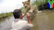 Pria meyakinkan singa untuk melompat ke dalam air - TomoNews
