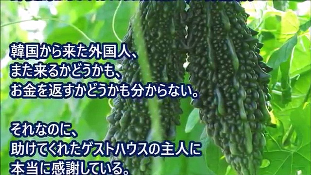 韓国人『あれ？お金足りない…』日本人『え！じゃあ…』その対応