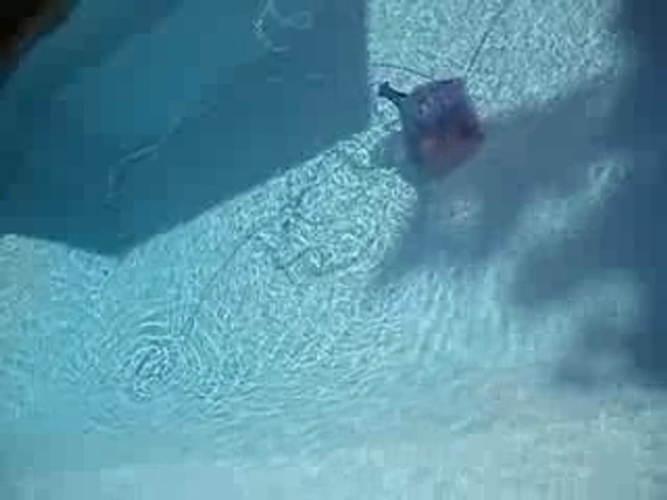 câble