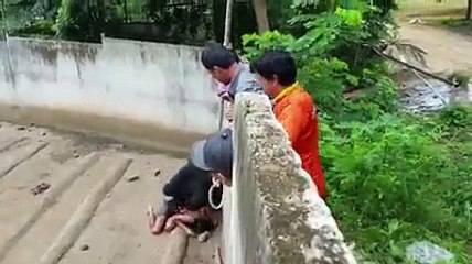 ek bilkul dil ko hila ker rakhe dene baala hadsha in zoo