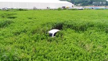 6 ans après la catastrophe, la Nature reprend ses droits dans les rues de Fukushima