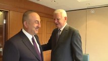 Dışişleri Bakanı Çavuşoğlu, Romanya Dışişleri Bakanı Comanescu ile Görüştü