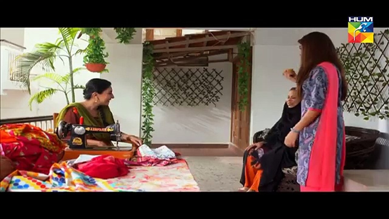 Daldal Episode 2 HUM TV Drama   24 August 2017(360p)