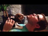 Insanely Adorable Beagle Puppy Learns How to Howl