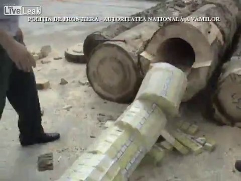 Milliers de cigarettes de contrebande cachées dans des troncs arbres