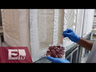 Un caso de zika en Brasil por transfusión de sangre/ Paola Virrueta