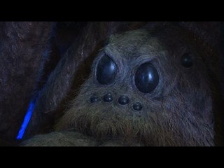 Harry Potter's 'Forbidden Forest' set to open near London