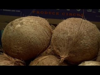 Coconut products gaining popularity among US shoppers