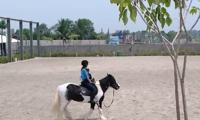 Liburan Akhir Pekan dengan Menunggang Kuda