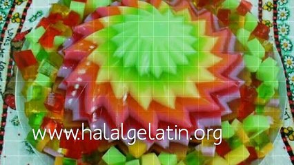 Halal Gelatin Pakistan