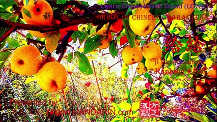 Origin of Chinese Characters - 0105B 给 給 jǐ supply, ample - Learn Chinese with Flash Cards