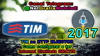2017 Ehi tim INJECTOR definitivo