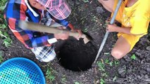 Wow!! Clever Two Boys Trap Big Snake Using Deep Hole With PVC Water Pipe