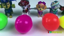 Paw Patrol Noise Putty Toilet Surprise Toys for Preschooler Kids to LEARN COLORS Compilati