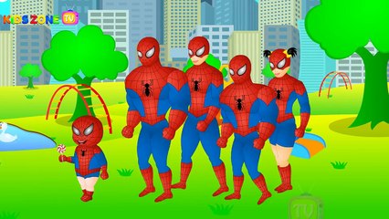 Finger Family (Spiderman Vs Venom) Finger Familly (Superman Vs Batman) Nursery Rhyme#CHK
