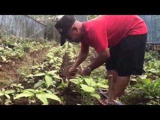 Green-thumbs up for this QC village