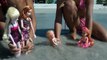 Delfines Ana y su Niños nadar en el oceano y reloj delfines