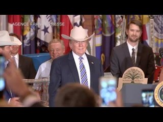 A look at Donald Trump's first 6 months as president