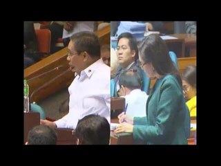 Hontiveros: Existing laws can suppress terrorism, rebellion in Mindanao