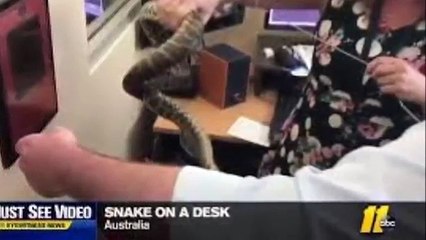 GODINAMA NISU IŠLI NA TAVAN, a onda su se skamenili kada su čuli jezive zvuke