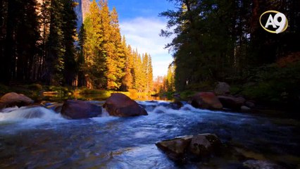 Ay'ın Mucize Yaratılışı