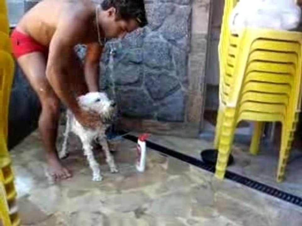Dando Banho