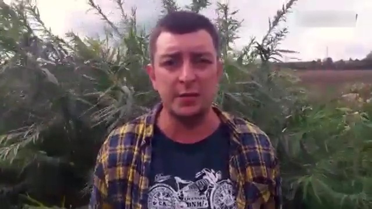 "Нам 26, а мы голые, надо хоть трусики одеть", - это самое оригинальное поздравление с Днем Независимости