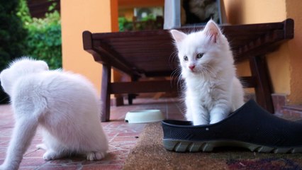 2015 - Sisi & Tomi pe terasa, 2 Iunie