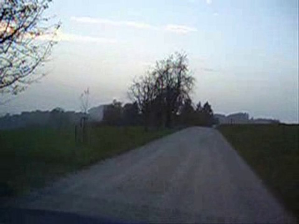 Bei den Kühen