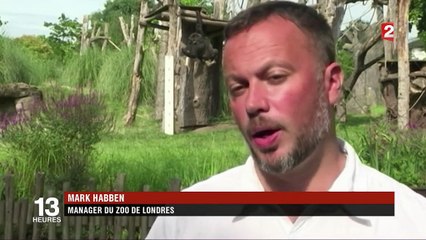 Zoo de Londres : inspection annuelle pour les animaux