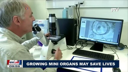 GLOBAL NEWS: Growing mini organs may save lives