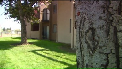 Elderly Woman Uses Walker to Fight Off Sex Assault Suspect