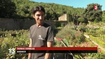 Aude : l'histoire de l'Abbaye de Fontfroide