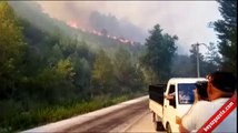 Antalya'da orman yangını yerleşim yerlerine sıçradı