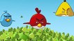 En colère mal des oiseaux gratuit vert les niveaux mini- en ligne porc contre procédure pas à pas Piggies gameplay 1-10 1