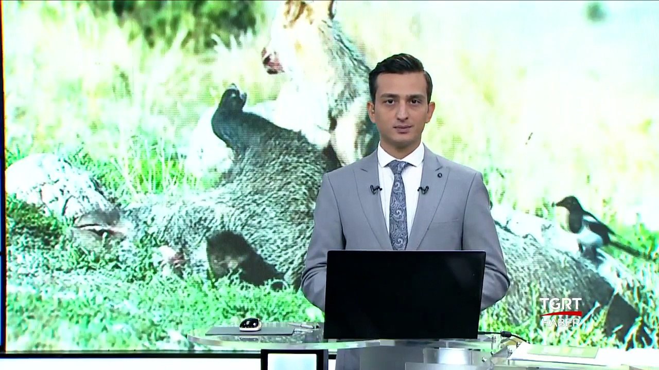 Başkent'te Fotokapan Görüntüleri