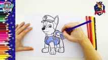 Todos los cachorros | Patrulla canina | Dibujo para colorear pintados a mano | infantíl pa