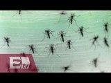 Se incrementan los casos de virus Zika en México / Ricardo Salas