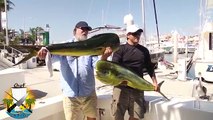 Ce pecheur se fait piquer son poisson par un lion de mer très malin