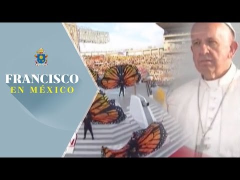 Mariposas monarcas danzan para el papa Francisco en el Estadio Morelos