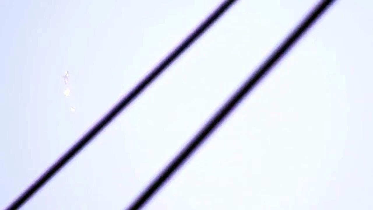 Jellyfish / Biological UFO / UFE / Sky Anomaly - Hollydale Park, South Gate, CA - Apr 19,