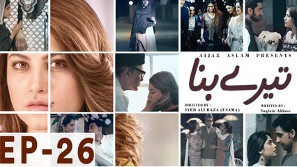 Tere Bina - Episode 26 | Har Pal Geo