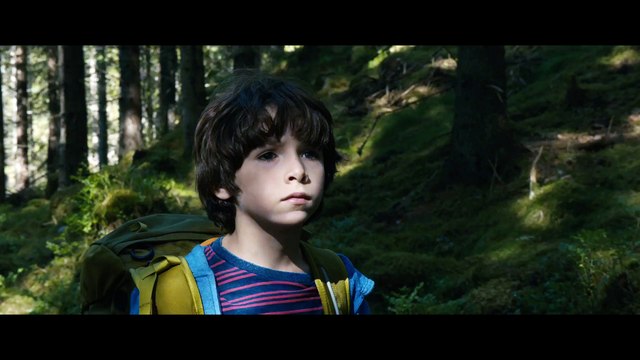 Dans la forêt (2017) VF (1080p_24fps_H264-128kbit_AAC)